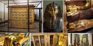 20 de fapte despre cei mai faimosi faraoni