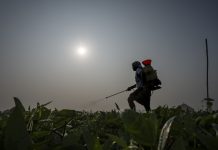 Fermierii din India sunt puternic afectati de vremea extrema. Unii spun ca extinderea agriculturii naturale este raspunsul